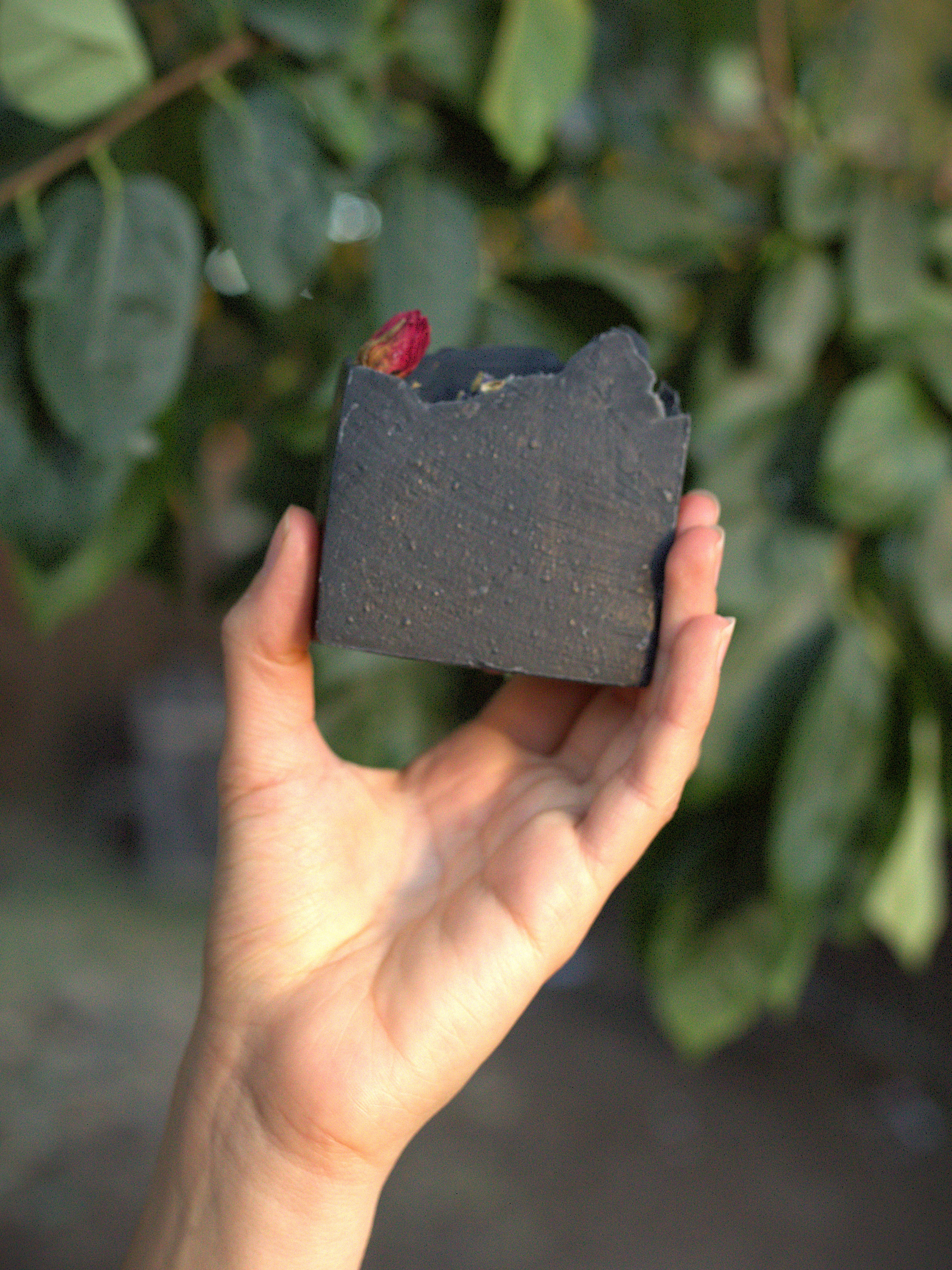 Black Velvet Charcoal & Raw Honey, Lavender, Rosemary • Cold-Process Soap • All Natural • Palm Oil Free