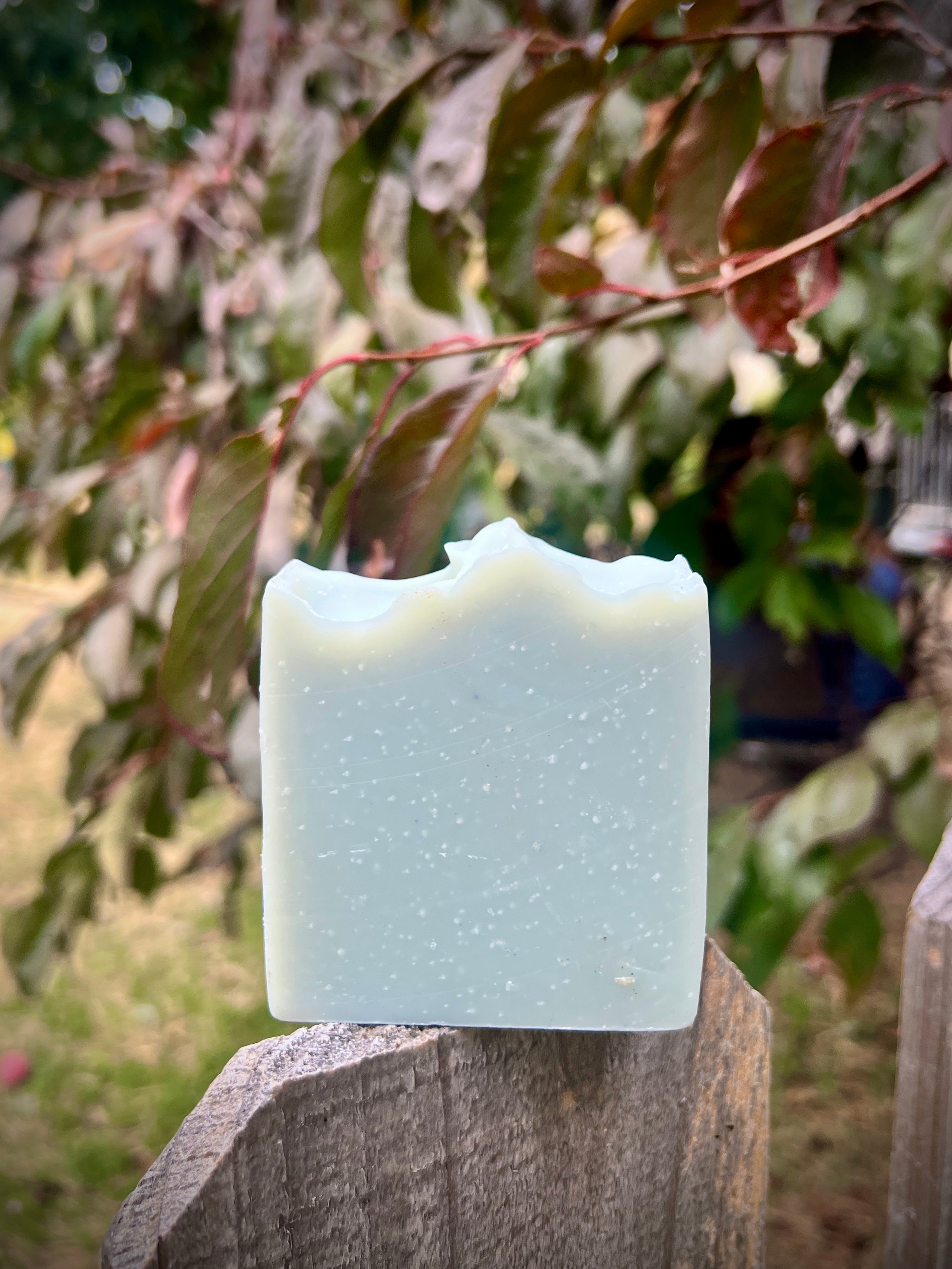 Eucalyptus, Bergamot & Coconut Milk Cold Process Soap with Cambrian blue clay • Cold-Process  • All Natural • Palm Oil Free (Pre-Order)
