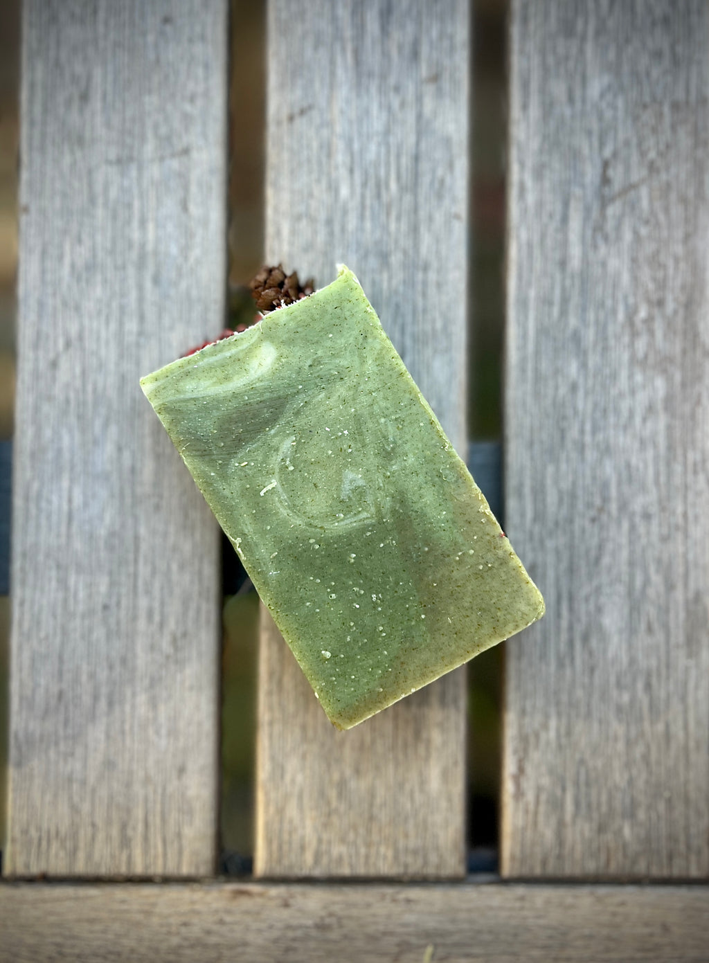 Yuletide Forest (Pre-order) ~ Juniper Berry, Pine Needle, Rosemary, Eucalyptus with Cranberry Seeds and Mini Pinecones