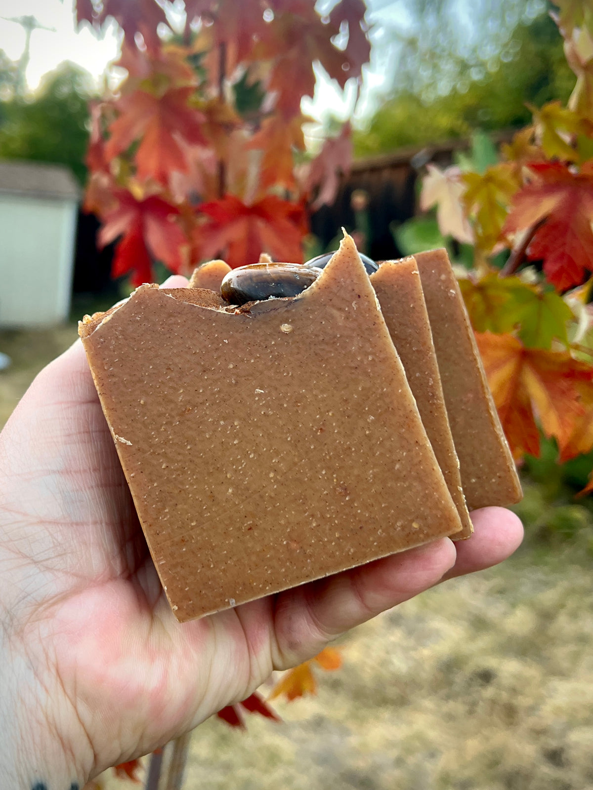 Pumpkin Spiced Spell - Pumpkin Puree, Cinnamon, Sweet Orange, Raw Honey & Turmeric ~ All Natural, Palm Oil Free
