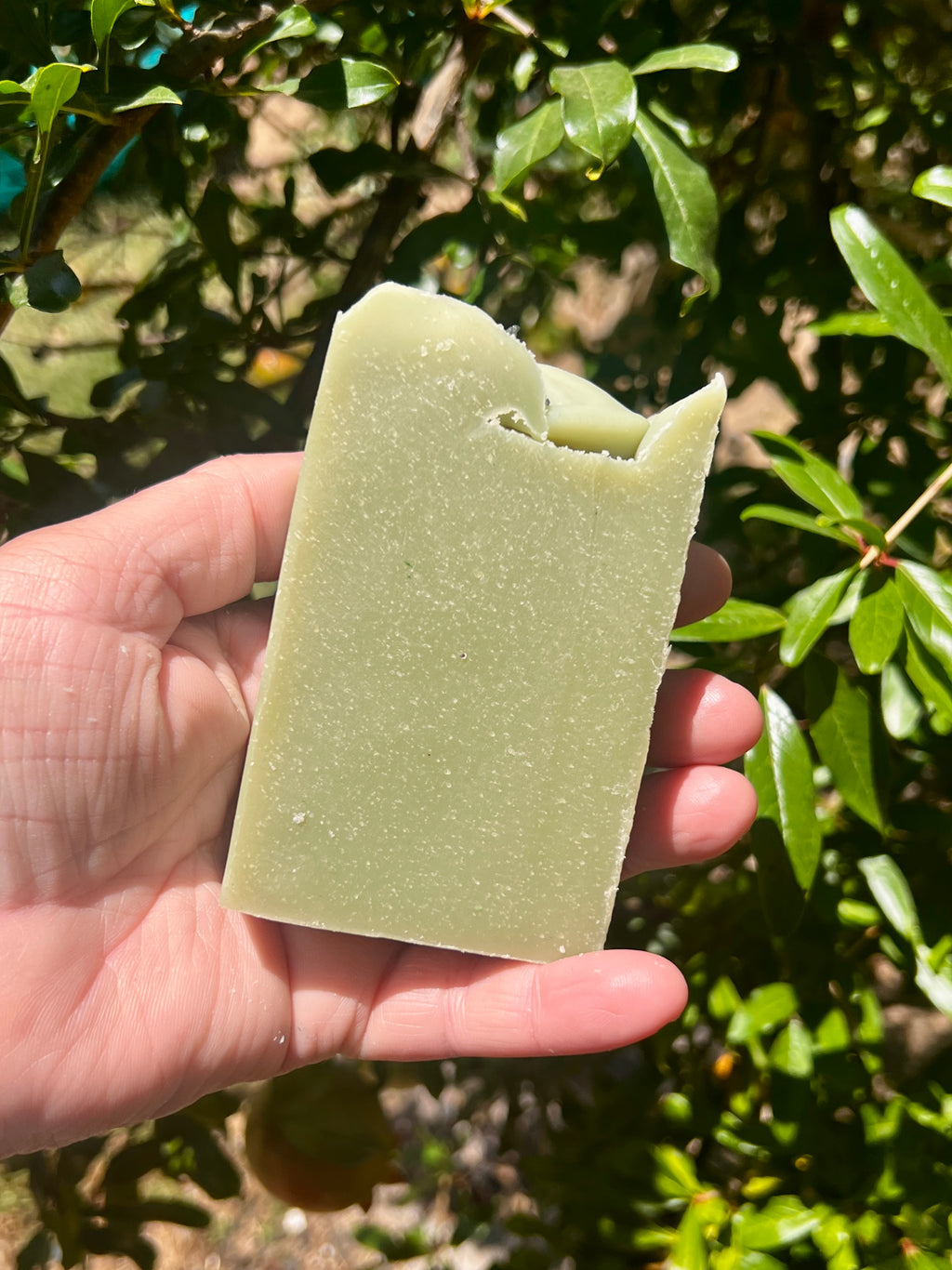 Garden Witch Cold-Process Soap • Raw Honey • French Green Clay • Bergamot • Rosemary •  Cedarwood • All Natural • Palm Oil Free (Pre-Order)