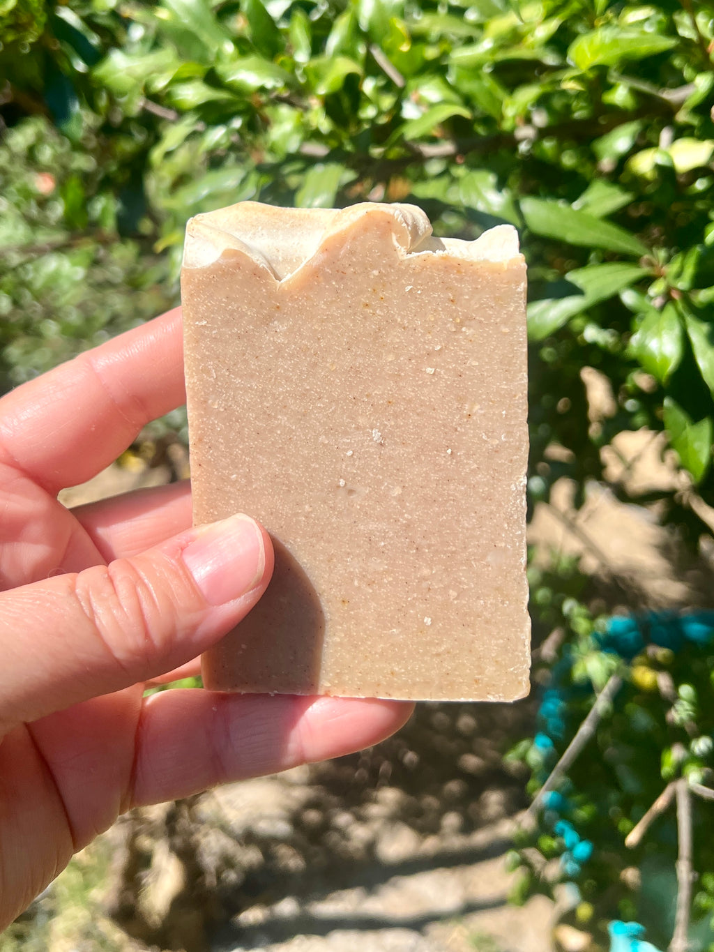 Honey Harvest (Pre-Order) Organic Raw Honey & Beeswax Cold Process Soap • Unscented • All Natural • Palm Oil Free